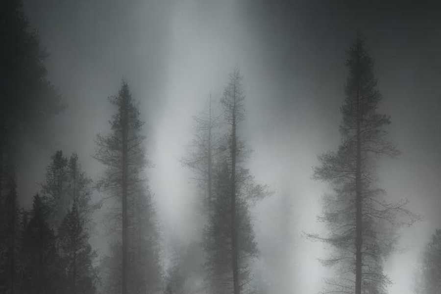 Квест в реальности Жмурки в темноте от компании Лазерстрайк Квест в реальности Жмурки в темноте от компании Лазерстрайк