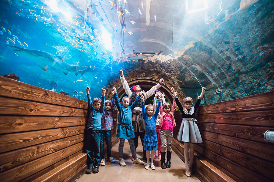 Квест в реальности Пиратский квест от компании Град Квест в реальности Пиратский квест от компании Град