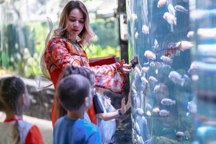 Квест в реальности Большое приключение от компании Град Квест в реальности Большое приключение от компании Град