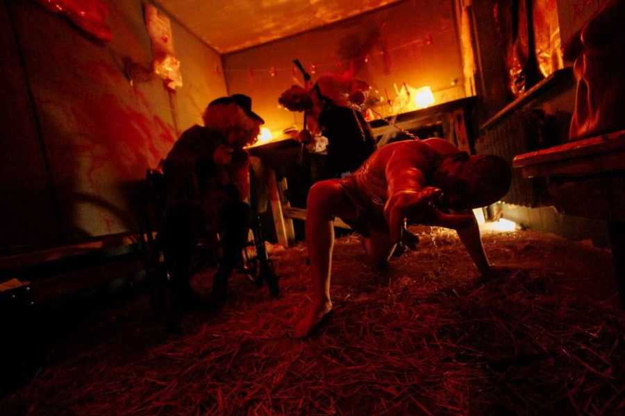 Квест в реальности У холмов есть глаза от компании Horror Quest Квест в реальности У холмов есть глаза от компании Horror Quest